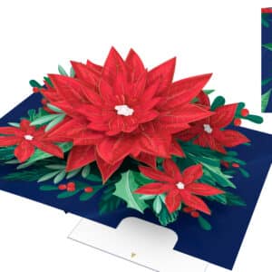 KT016 - Weihnachtsstern